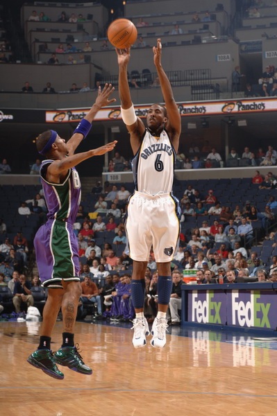 表明他们正 表明他们正