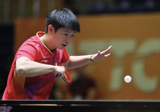 维也纳快速 维也纳快速