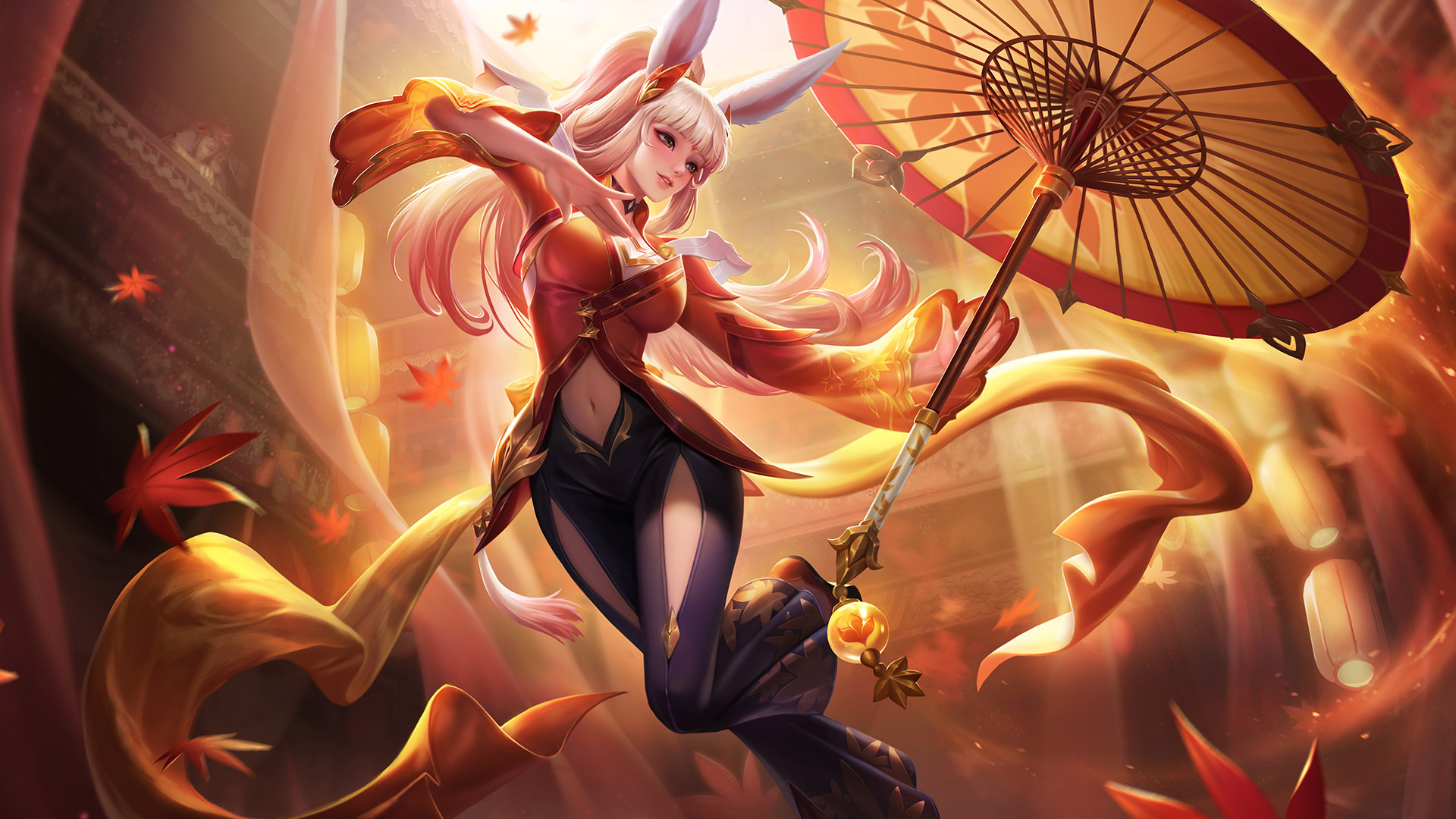 迷关注的焦 迷关注的焦