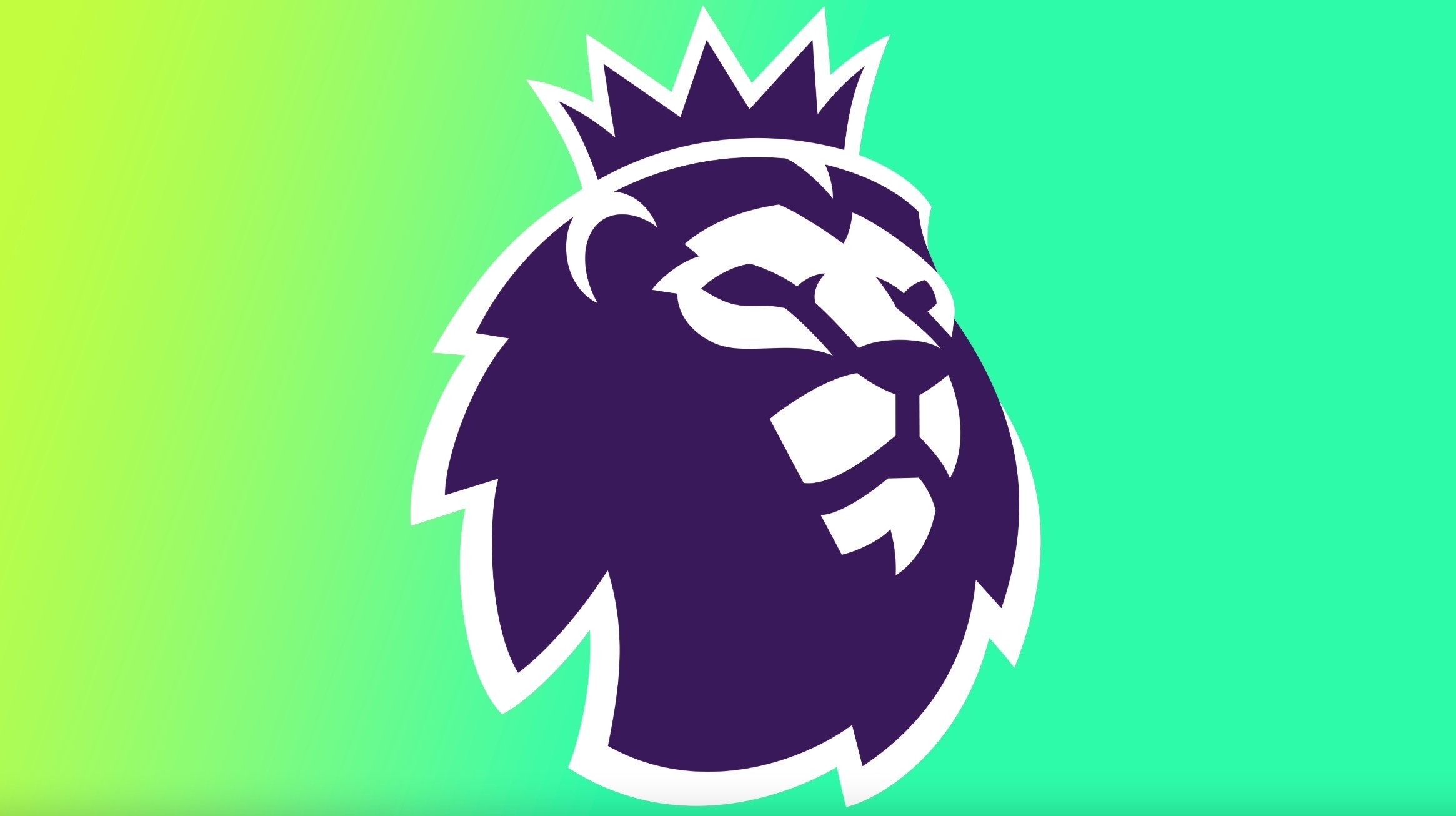 球队的整体 球队的整体